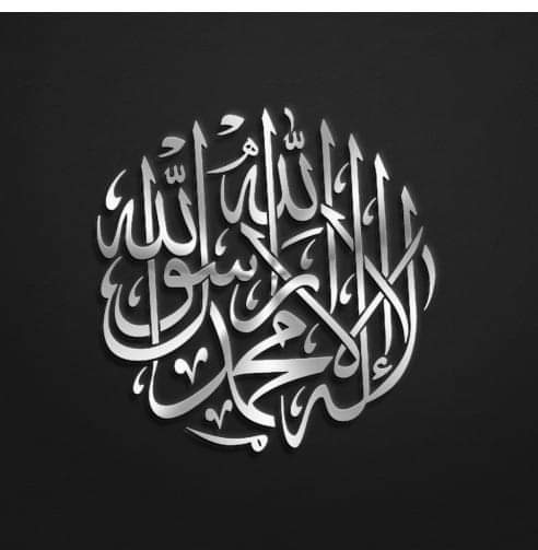 BIRDS 🐦 tweet media