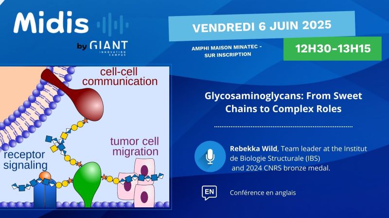 Institut de Biologie Structurale (@ibs_grenoble) on Twitter photo Save your lunch break on June 06 to attend the next #𝗠𝗶𝗱𝗶𝘀𝗯𝘆𝗚𝗜𝗔𝗡𝗧 talk presented by R. Wild (Team leader <a href="/IBS_Grenoble/">Institut de Biologie Structurale</a> & 2024 CNRS bronze medal), entitled "@Glycosaminoglycans: From Sweet Chains to Complex Roles". Registration : lnkd.in/efGTTbWi
#MidisbyGIANT Save your lunch break on June 06 to attend the next #𝗠𝗶𝗱𝗶𝘀𝗯𝘆𝗚𝗜𝗔𝗡𝗧 talk presented by R. Wild (Team leader <a href="/IBS_Grenoble/">Institut de Biologie Structurale</a> & 2024 CNRS bronze medal), entitled "@Glycosaminoglycans: From Sweet Chains to Complex Roles". Registration : lnkd.in/efGTTbWi
#MidisbyGIANT