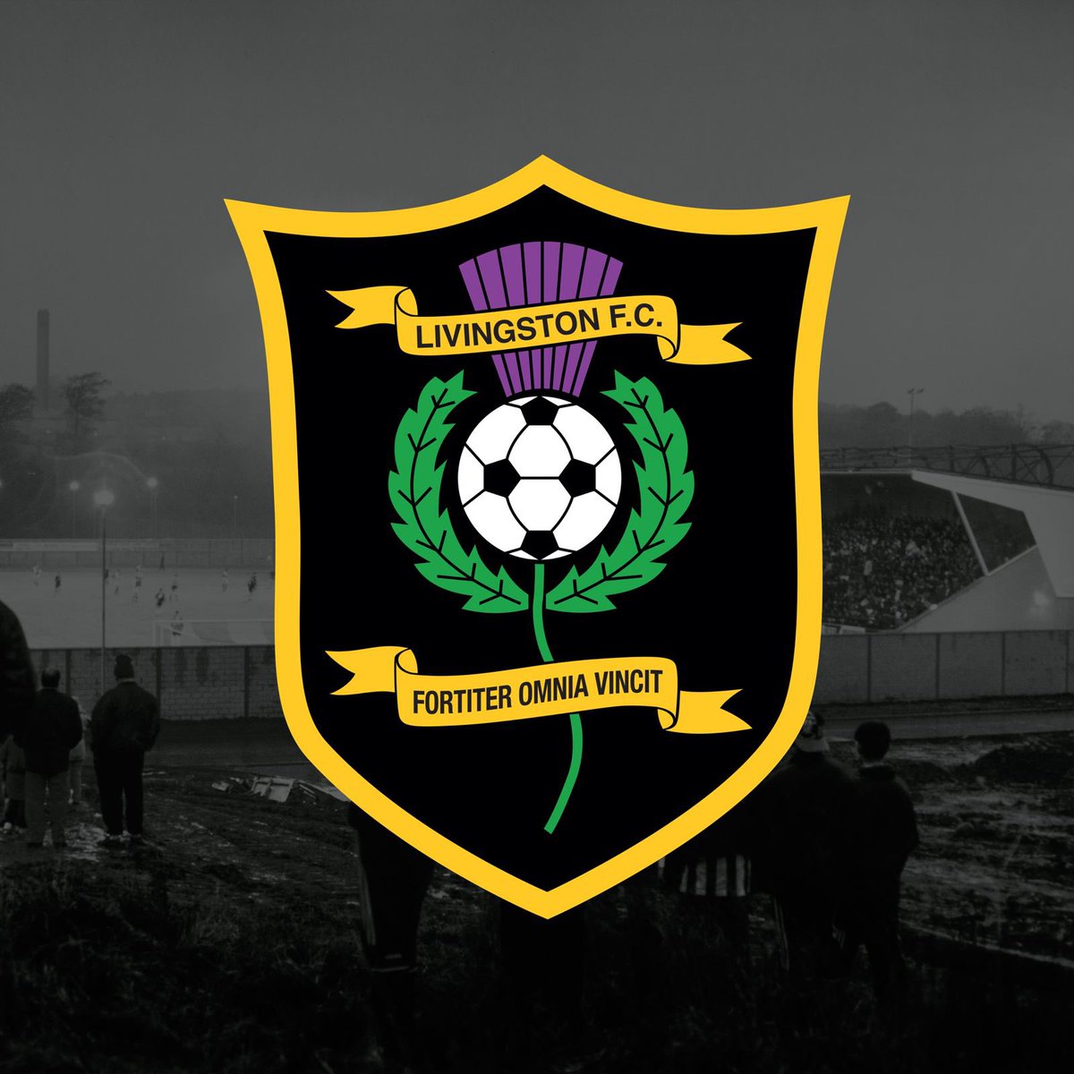 Livingston Football Club tweet media