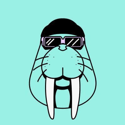 why did you stop interacting with $WAL tweets?