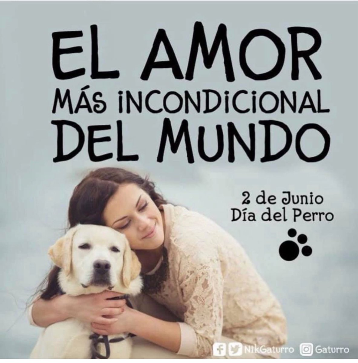 #BuenLunes 
2 de Junio. Feliz Día Nacional del Perro. 🐶 <a href="/JMilei/">Javier Milei</a>