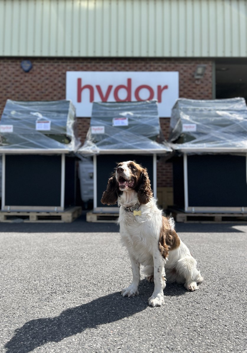 We have Poppy on quality control this morning.

By the look of that smile, we'd say they passed and met Poppy's standards ✅