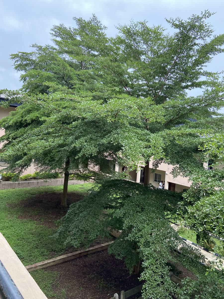 Bolanle (@theyluvbolanle) on Twitter photo 