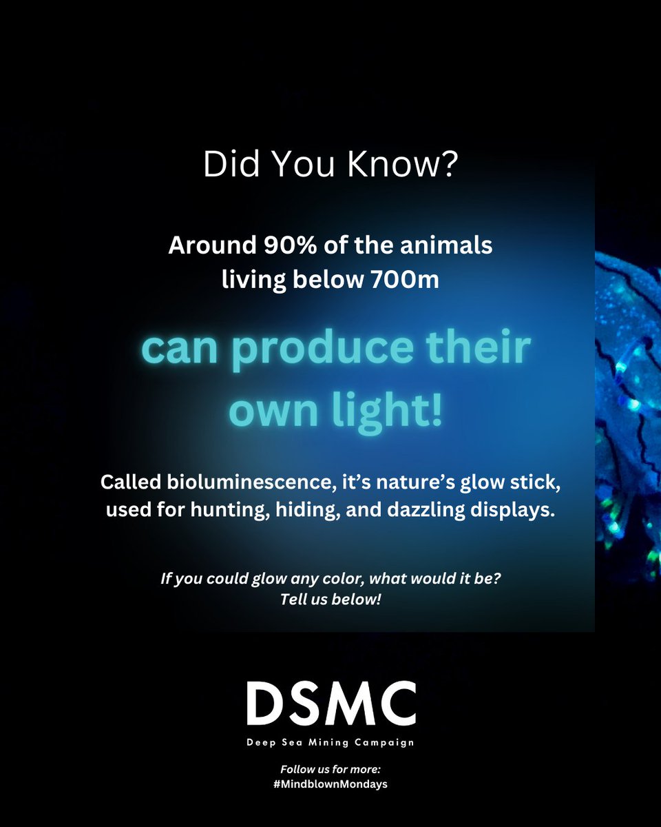 ✨ Bioluminescence lights up the deep sea reminding us how precious it is.

Don't leave the future of the ocean up to Trump and mining companies - let’s defend the wonders of the deep.

🔗 Act now: linktr.ee/nodeepseamining
#MindblownMondays #ProtectOurOceans #DSMC #StopDSM