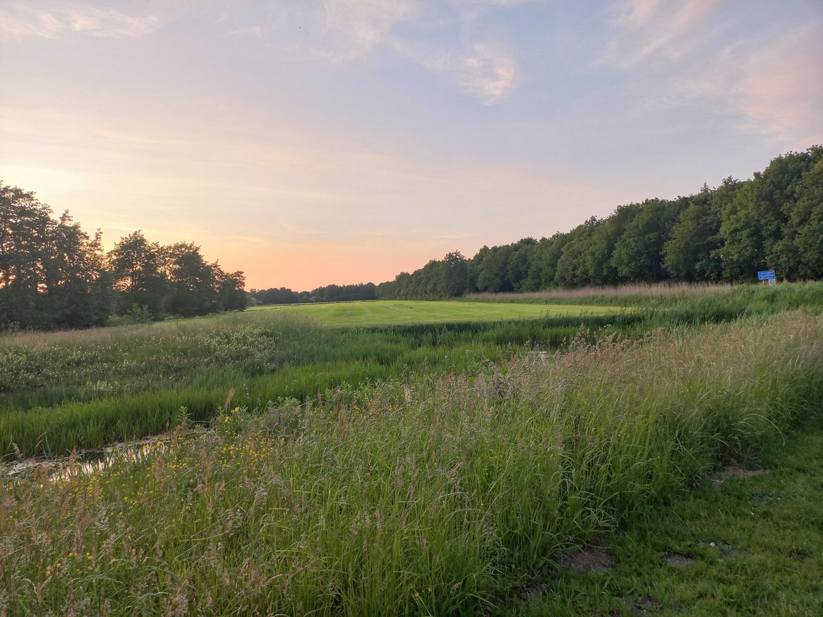 Goedemorgen, iedereen een hele mooie maandag gewenst. Geniet van al het goede en mooie dat deze dag je brengt.