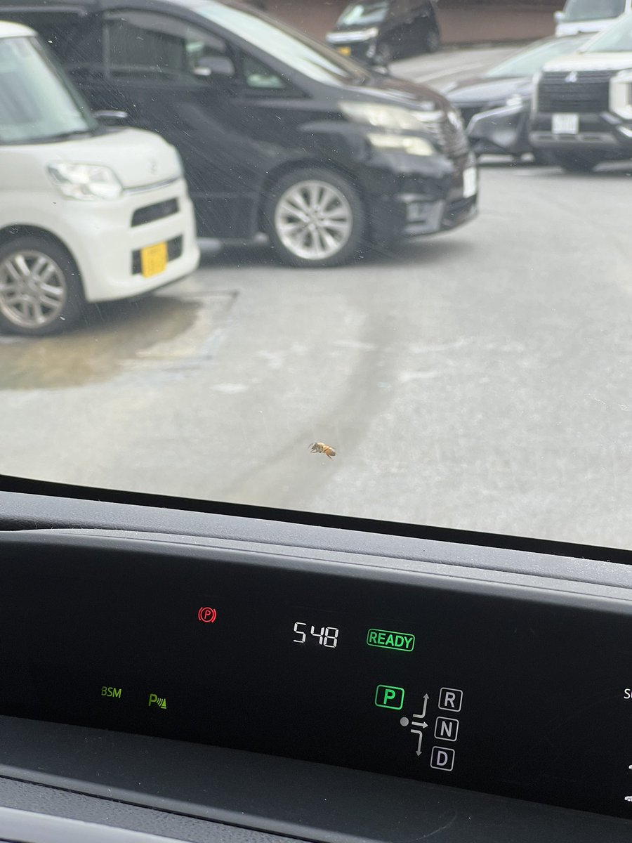 よったけ tweet media