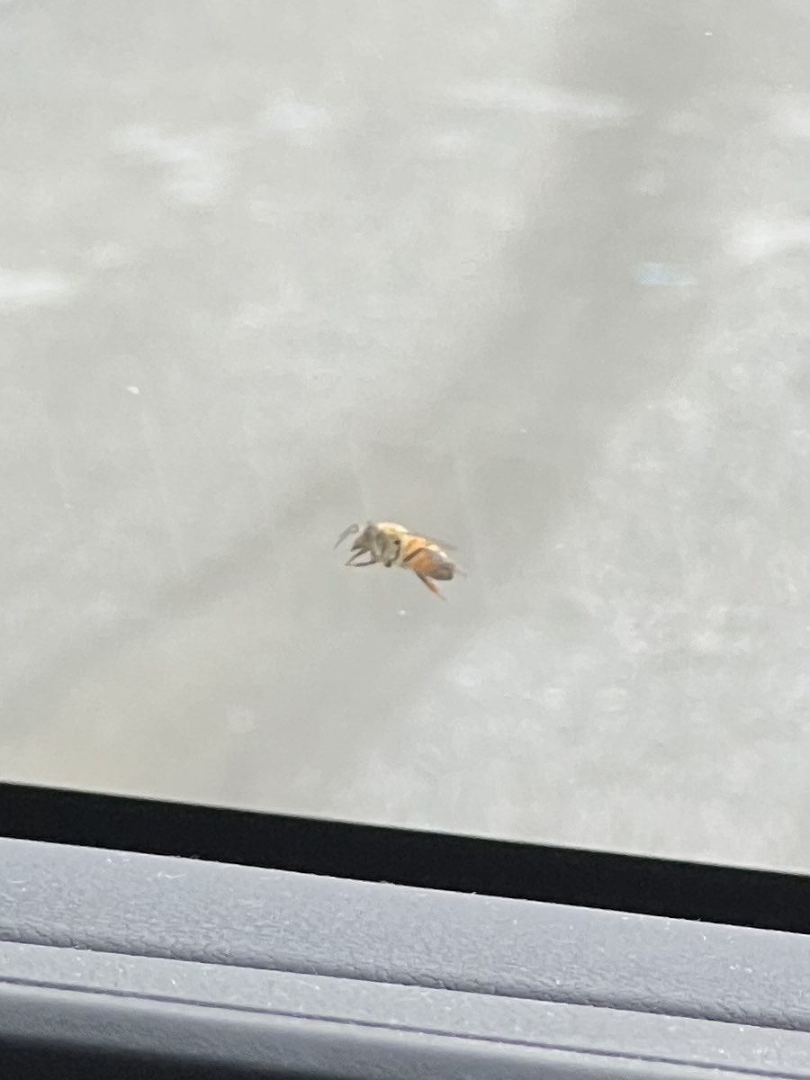 よったけ tweet media