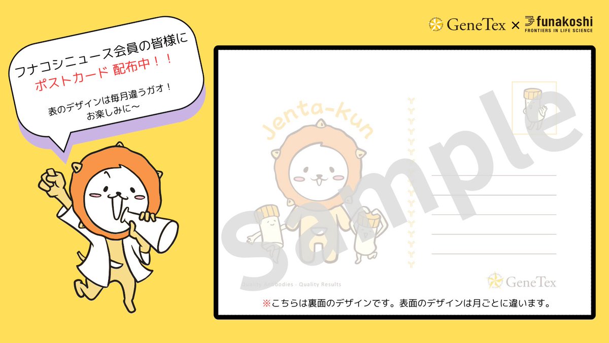 フナコシニュースのDM登録をしてくださっている方限定❣️
6/1号から毎月、ジェンタくんのポストカードがニュースと一緒に同梱されます😊✨
表面のデザインは月替わり！ぜひお手に取ってご覧くださいね🫶

フナコシニュースの新規会員登録はコチラから！
funakoshi.co.jp/users/register…