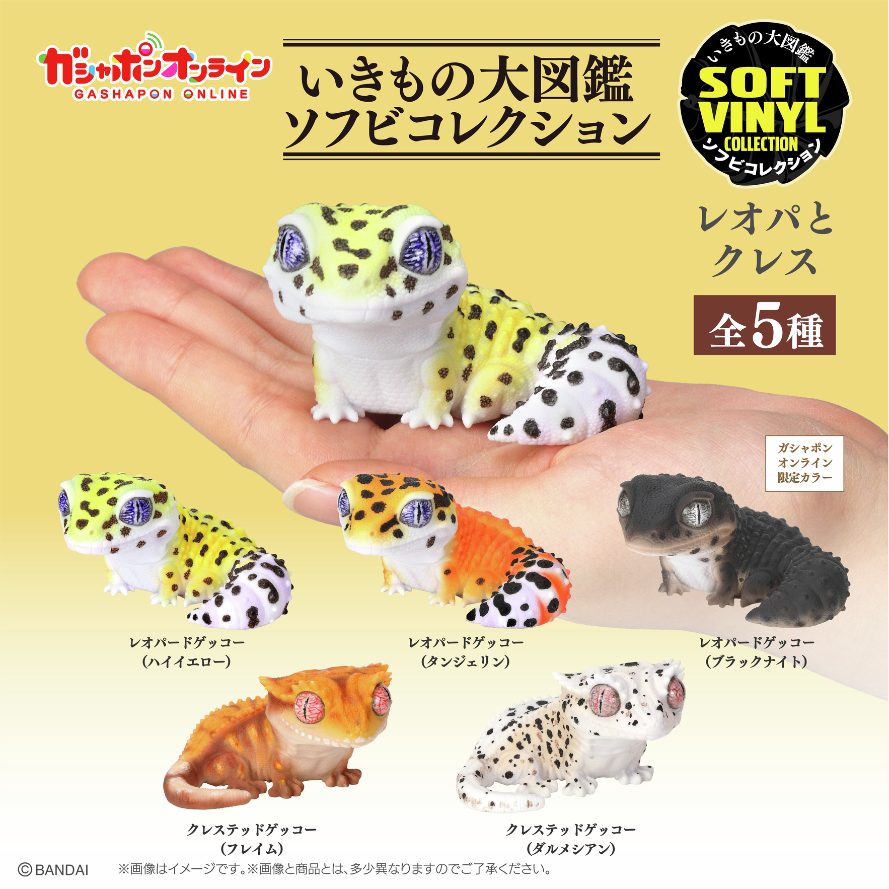ガーゴイルゲッコー | 真工房 masakoubou