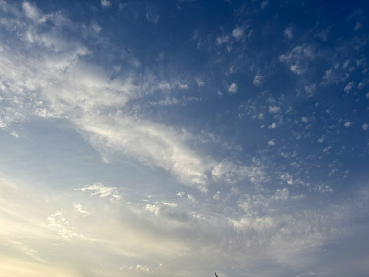 がぁん tweet media