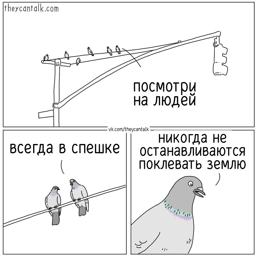 Гвупые
