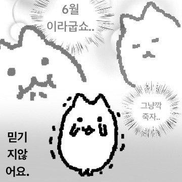 고냥미 (@babgobong) on Twitter photo 