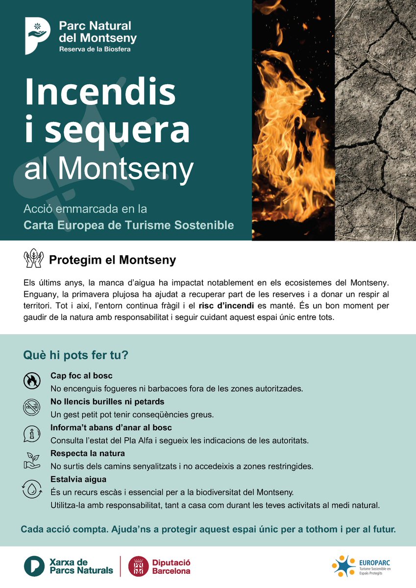 🌿 Montseny, natura viva. Fem-la durar
Després d’uns anys marcats per una sequera intensa, aquesta primavera ha estat un respir per al territori. Els rius tornen a baixar amb força i els boscos s’han tenyit de verd. Aquests equilibris són fràgils, i cuidar-los és cosa de tothom