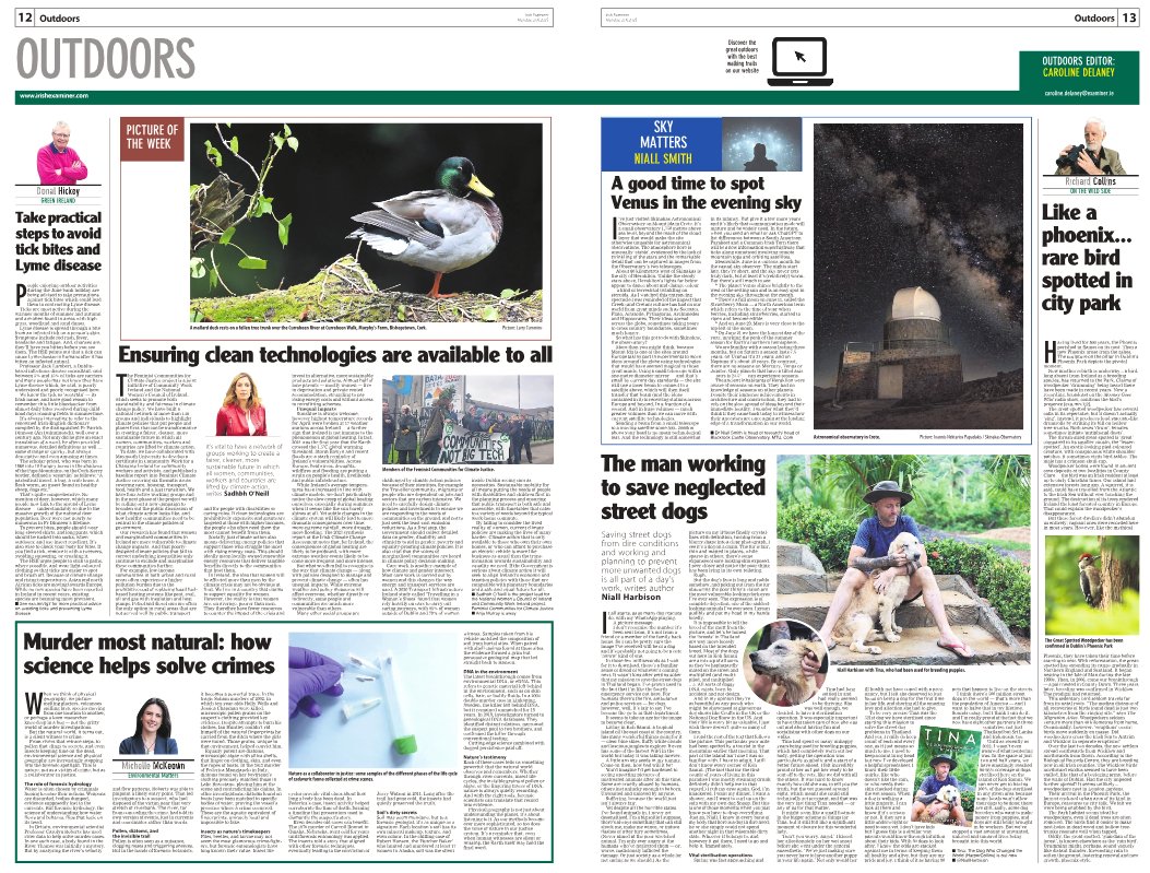 CarDelaney's tweet image. exa.mn/t7z
‣ Just a tick — take time to learn about Lyme disease
‣ Woodpecker in Phoenix Park
‣ Saving street dogs
‣ Natural world&apos;s role in solving crimes
‣ Ensuring climate action is fair
‣ Strawberry moon
📷 Mallard at Murphys&apos;s Farm, Cork
@NiallHarbison