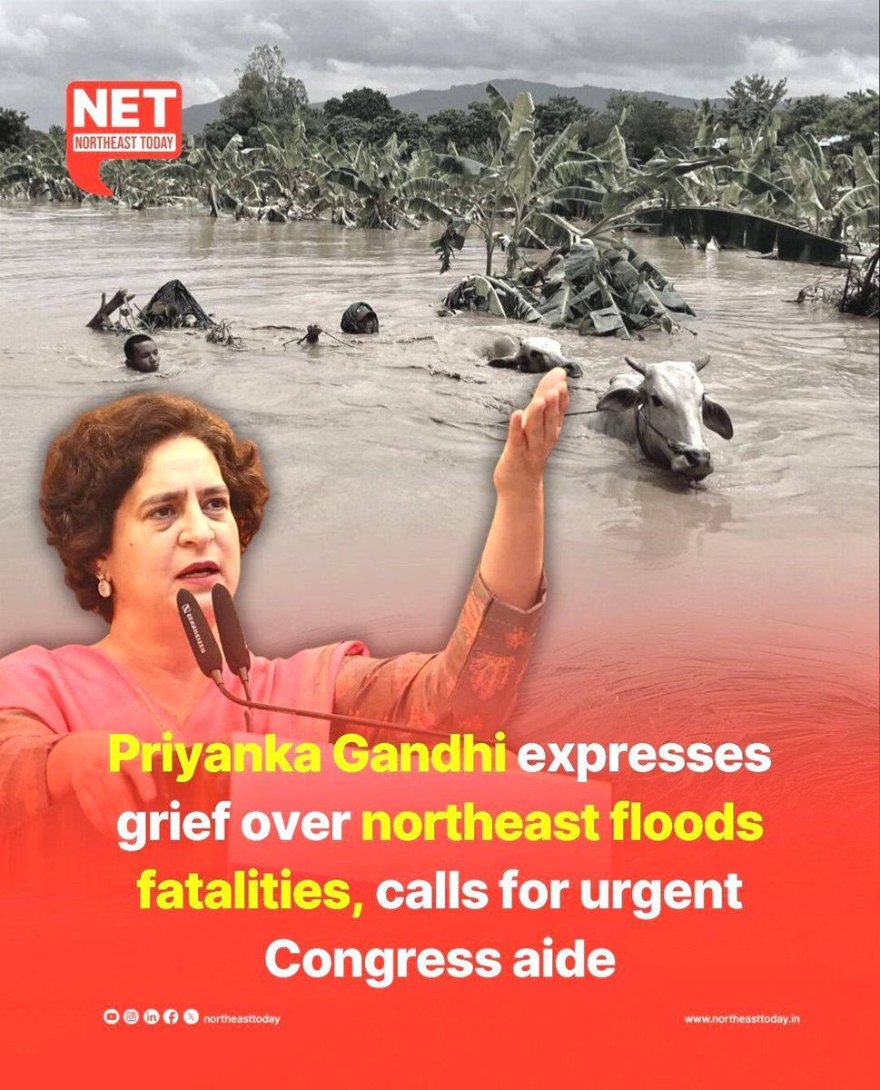 #NetSnippet | Congress leader Priyanka Gandhi Vadra expressed deep sorrow over the deaths caused by heavy rains and floods in the northeastern states, including Assam and Arunachal Pradesh, which have affected lakhs of people.

In a post on X, she urged the central and state