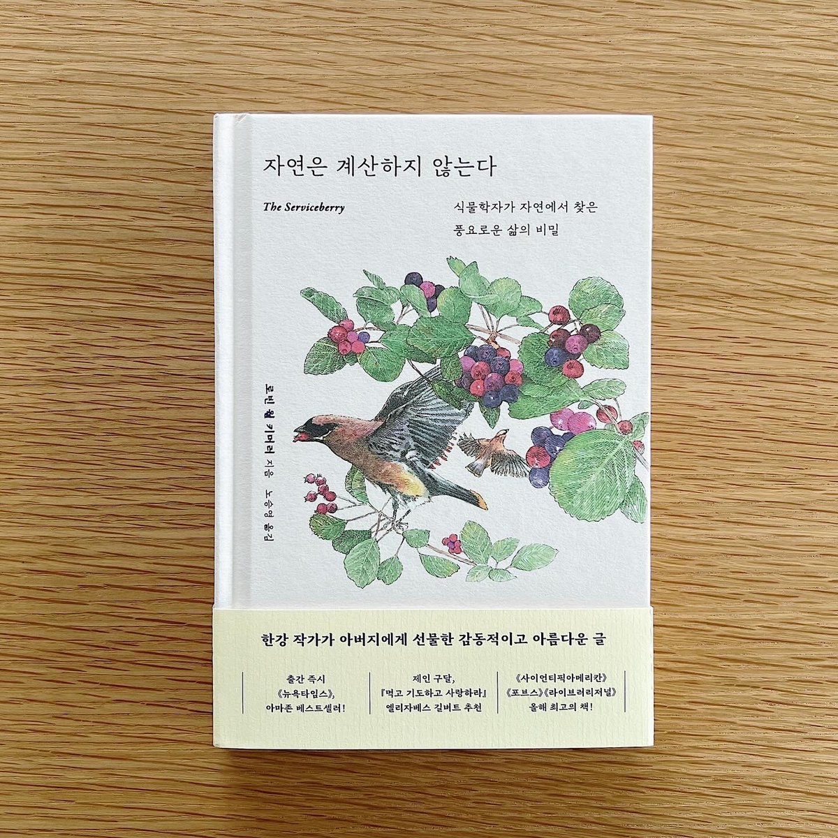 5년이 지나 다시 만난 로빈 월 키머러 선생님…… 신작 <자연은 계산하지 않는다> 추천사를 썼습니다.