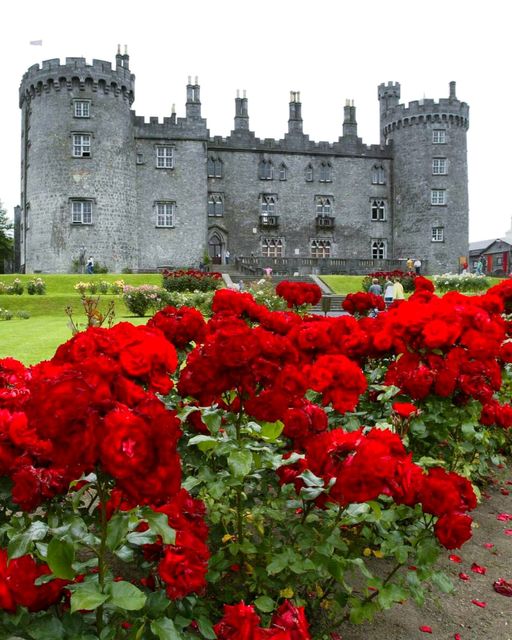 Buon lunedì! Vi auguriamo una serena settimana dal meraviglioso Castello di Kilkenny 🏰🌹

📍 Castello e giardini di Kilkenny