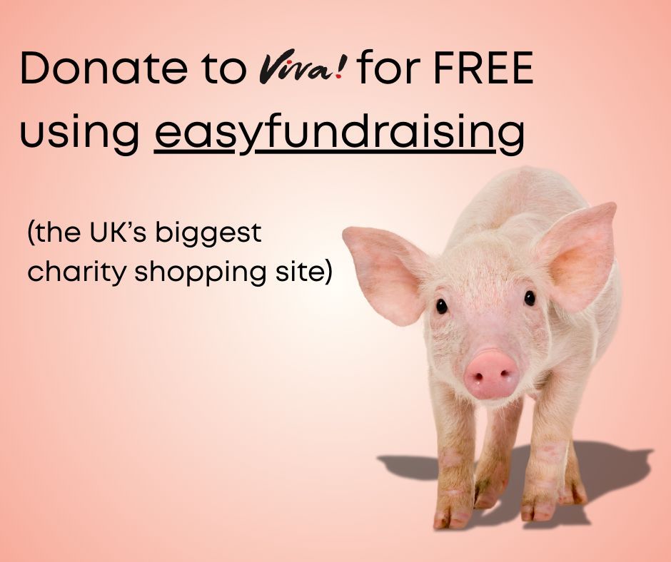 The easiest way to fundraise for Viva! is through easyfundraising.org.uk - it's a website (and app) which lets you earn donations for Viva! while you shop 🙌

1. Sign up at easyfundraising.org.uk/causes/vivaorg
2. Select Viva!
3. Make purchases via easyfundraising

#veganism