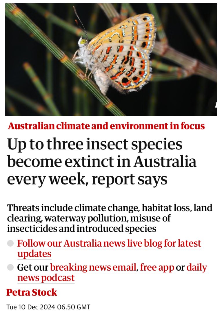 The colonialist &amp; capitalist death projects; systematically eradicating beauty &amp; wonder, exterminating entire strands of life before they’ve even been named. 

We must URGENTLY mature out of this suicidal system &amp; restore &amp; adapt our world, or there will be nothing left to save.
