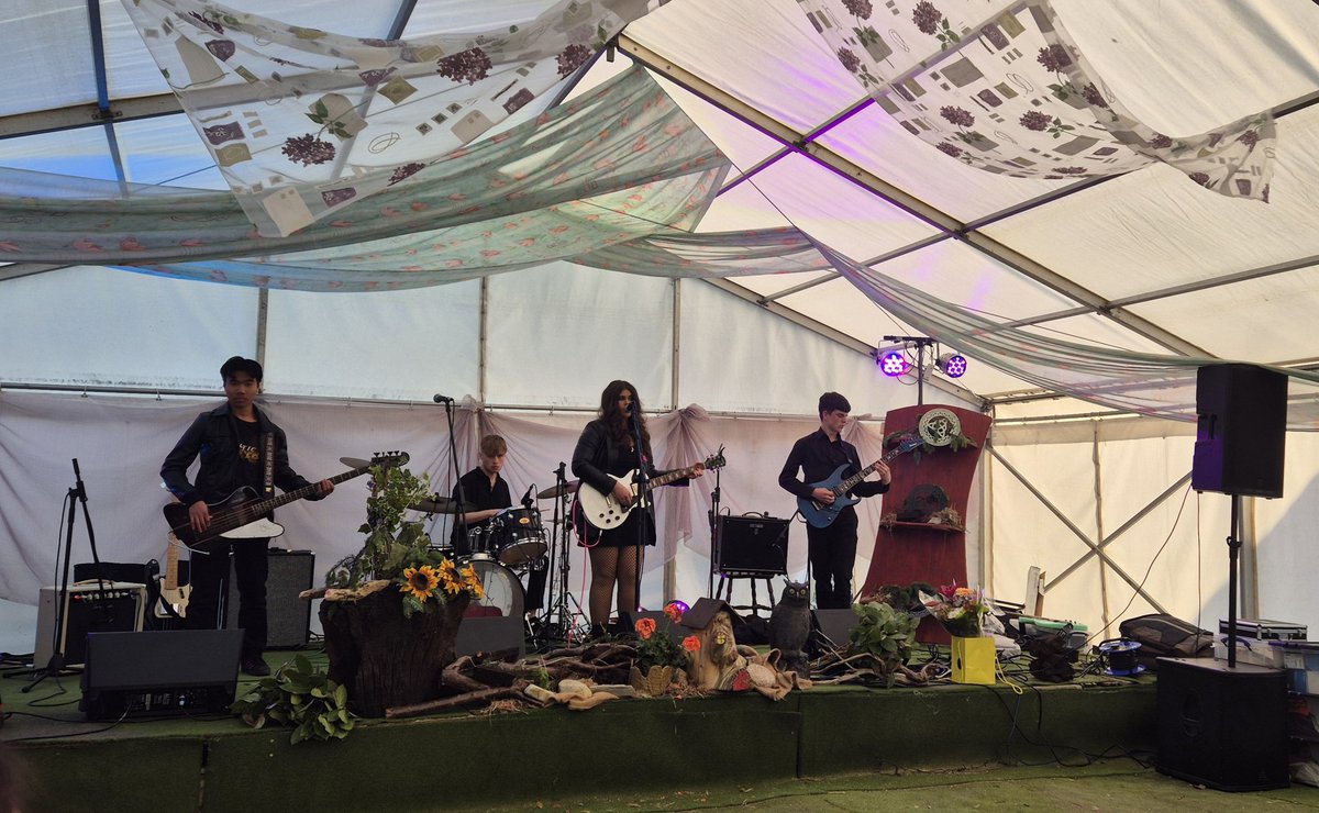 Taylor D tweet media