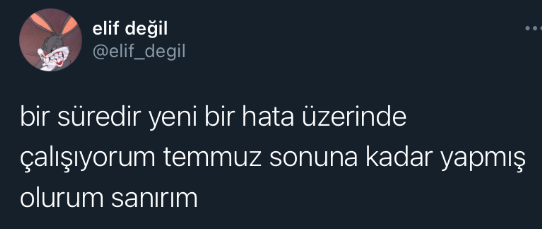 Bizi Bitirdin Be TC tweet media