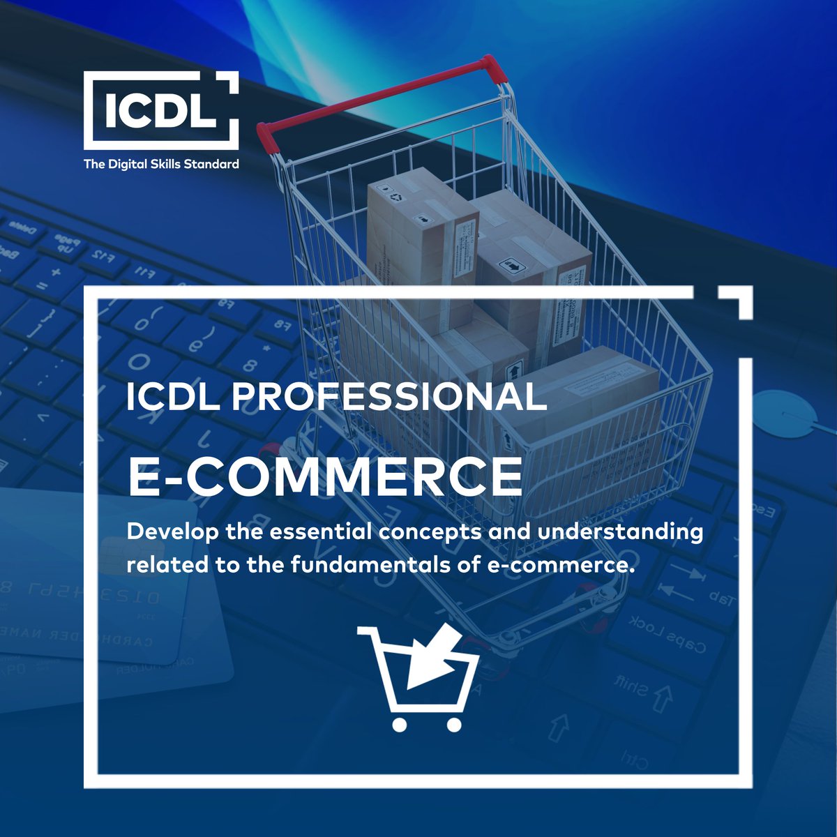 ICDLAfrica's tweet photo. Thinking of selling online? 
Whether it’s crafts, services, or side hustles, e-commerce is the way forward.
Learn to set up and manage your online store, from social platforms to full websites.
ICDL’s E-Commerce module makes it easy.
🔗: https://t.co/EPtPT17ORr.
# E-commerce. https://t.co/YU7ZQrG9Il