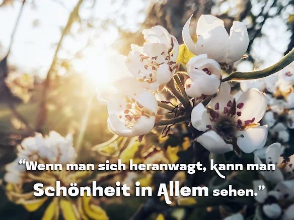 MiloEwigeErde's tweet photo. "Wenn man sich heranwagt, kann man Schönheit in Allem sehen" 💚 – J.M.M.Torke
➔ https://t.co/5x4Isc6LMw
#Bindung #EwigesLeben #Ganzwerdung #Heilung #Impulse #Kommunikation #Zitate https://t.co/Ee2nPxLHLv