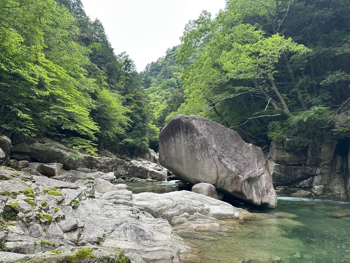 aranamipapa's tweet photo. 先週末は��流釣行🎣

なかなかハードだった💦

テンカラ難しい、アブラハヤしか釣れんかった🦥

あとヤマビルはキモい。

マジでサイレントヒル https://t.co/JchlOKPvTT