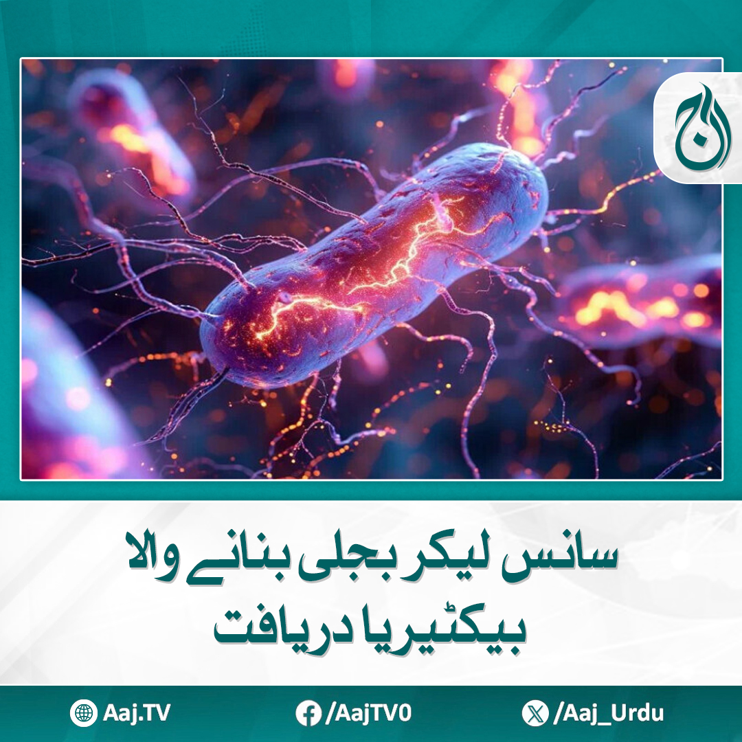 Aaj_Urdu's tweet image. توانائی کی دنیا میں ایک انقلابی قدم: ایسے بیکٹیریا کی دریافت جو سانس کی جگہ بجلی خارج کرتا ہے
مزید پڑھیئے:  aaj.tv/news/30463635
#AajNews #ElectricityGeneratingBacteria #ScientificDiscovery