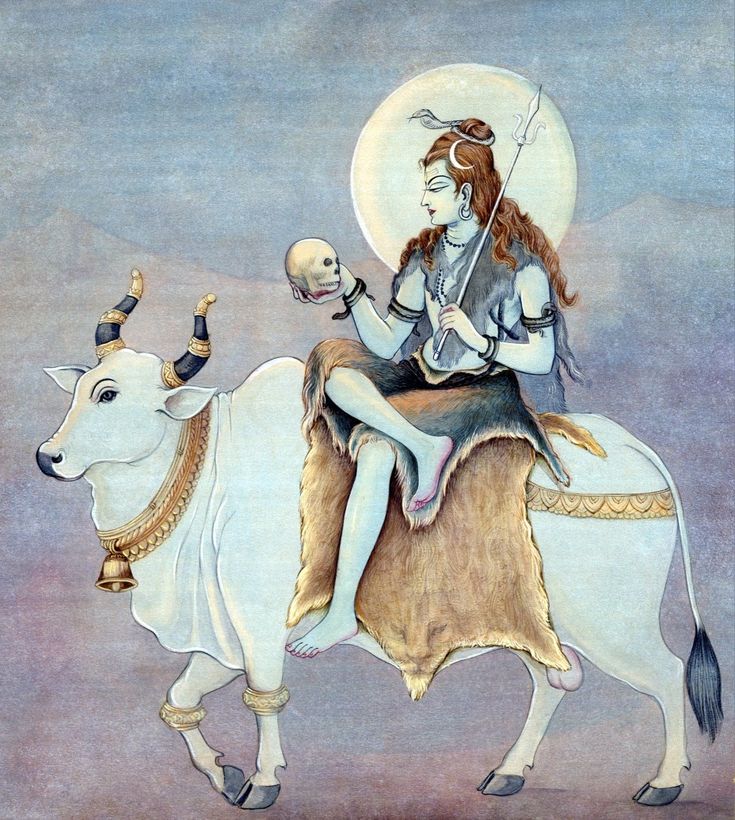 Mahadev ✨