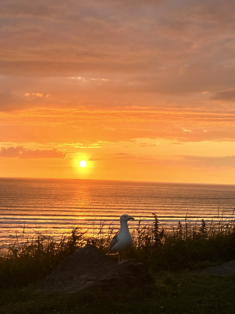 Rhidian Evans (@rhiders) on Twitter photo Y machlud rhy llachar i’r wylan 😂
The sunset was too bright for the seagull 😂
<a href="/ThePhotoHour/">#ThePhotoHour</a> <a href="/StormHour/">#StormHour</a> <a href="/S4Ctywydd/">S4C Tywydd</a> <a href="/DerekTheWeather/">Derek Brockway - weatherman</a> <a href="/itvweather/">ITV Weather</a> <a href="/bbcweather/">BBC Weather</a> Y machlud rhy llachar i’r wylan 😂
The sunset was too bright for the seagull 😂
<a href="/ThePhotoHour/">#ThePhotoHour</a> <a href="/StormHour/">#StormHour</a> <a href="/S4Ctywydd/">S4C Tywydd</a> <a href="/DerekTheWeather/">Derek Brockway - weatherman</a> <a href="/itvweather/">ITV Weather</a> <a href="/bbcweather/">BBC Weather</a>