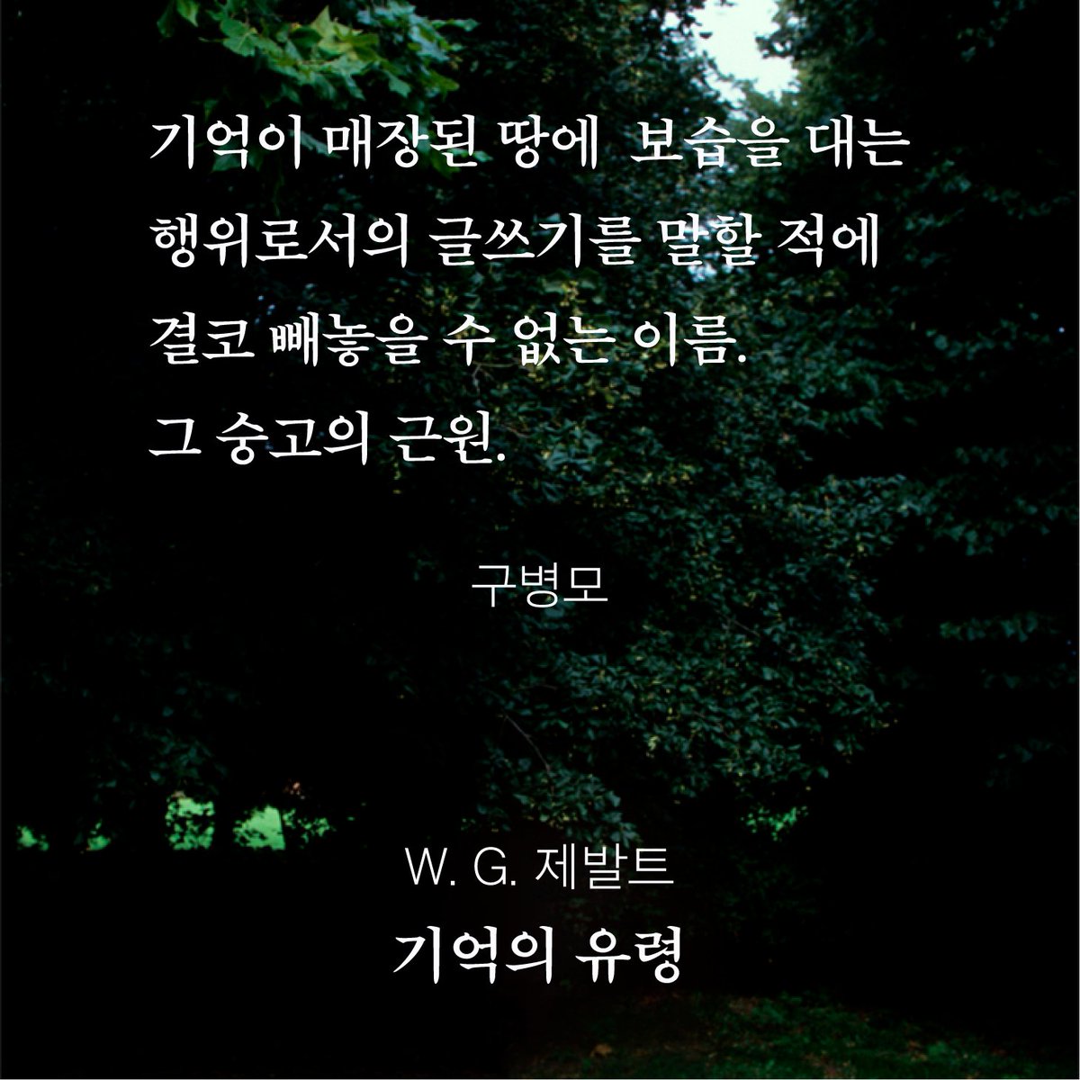 ❝한번 제발트를 읽어버린 작가가 제발디언이 되지 않기란 가능한가?❞-구병모

『기억의 유령』은 제발트가 1997년부터 2001년 사망하기 한 달 전까지의 심층 인터뷰와 유명 평론가들의 에세이를 엄선한 책입니다. 이 책은 ❝기묘하고 불가해한 작가❞인 제발트의 내면을 훌륭하게 드러내 보여 줍니다