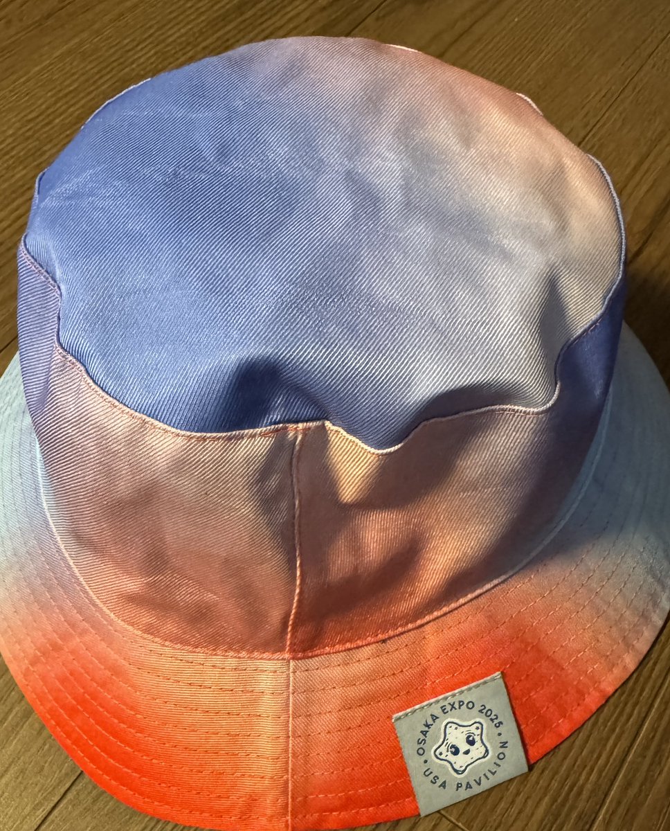 【レア】大阪万博 アメリカパビリオン 限定キャップ 大阪・関西万博のアメリカ館のお土産とその価格