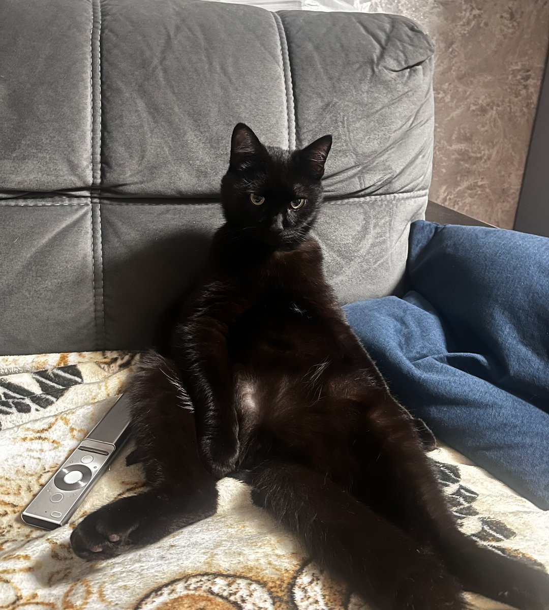 Это я после тяжелого рабочего дня хочу расслабиться просмотром мультиков и документалок по физике.