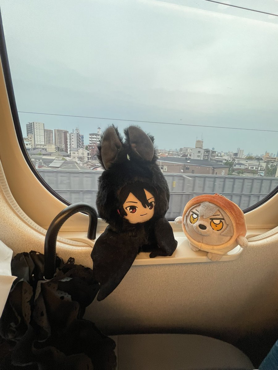 minobebe666's tweet photo. また来ような https://t.co/uFKD5Krqrr