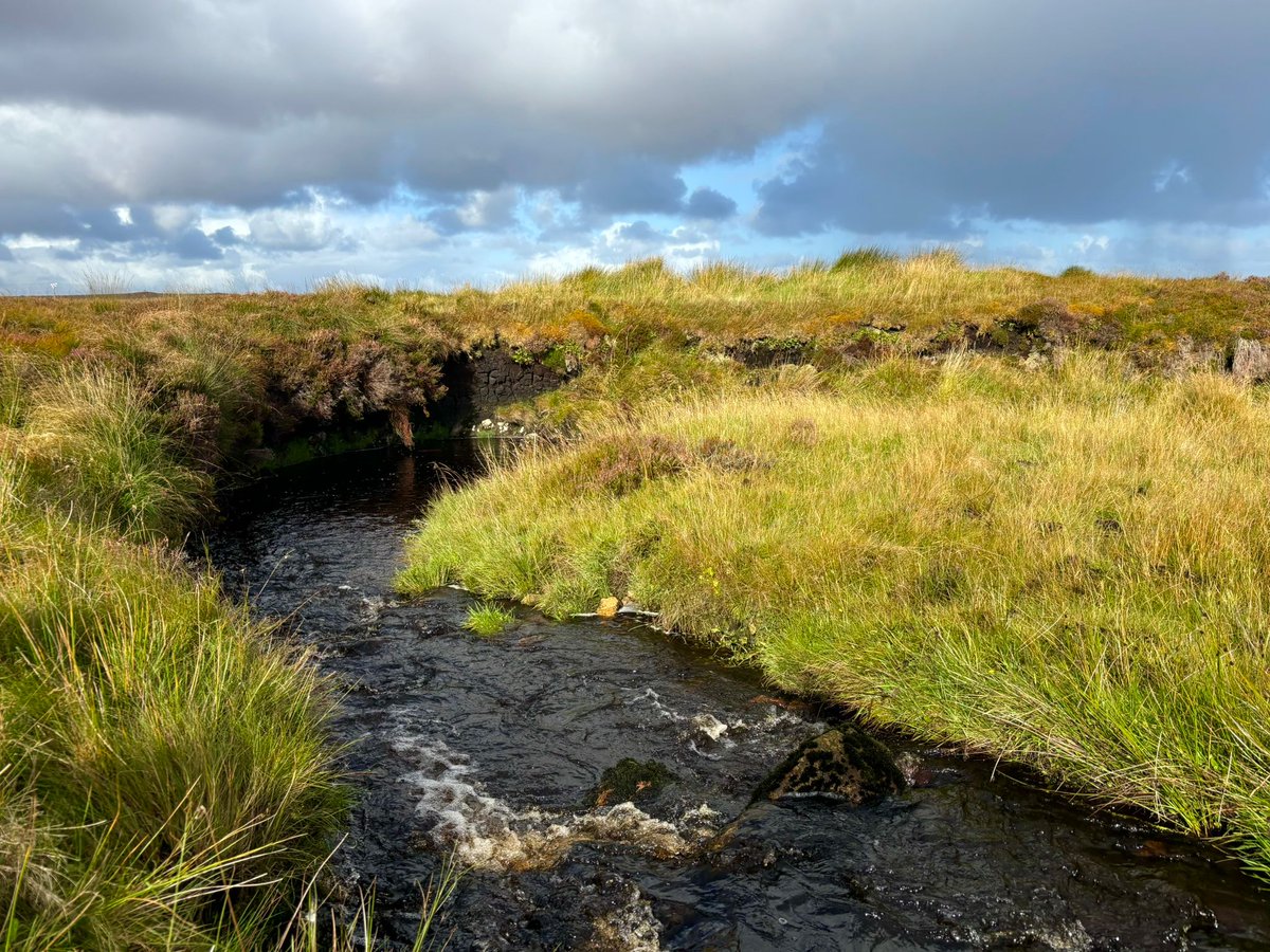 Catherine Baldwin 🏴 (@catearthsci) on Twitter photo Today is #WorldPeatlandsDay! 🌎 These amazingly boggy ecosystems are threatened by human pressures/climate change, but international/interdisciplinary awareness and collaboration is helping to mitigate this. Pics from <a href="/RivEscape/">RIV-ESCAPE Project</a> fieldwork on Isle of Lewis, April 2025 Today is #WorldPeatlandsDay! 🌎 These amazingly boggy ecosystems are threatened by human pressures/climate change, but international/interdisciplinary awareness and collaboration is helping to mitigate this. Pics from <a href="/RivEscape/">RIV-ESCAPE Project</a> fieldwork on Isle of Lewis, April 2025