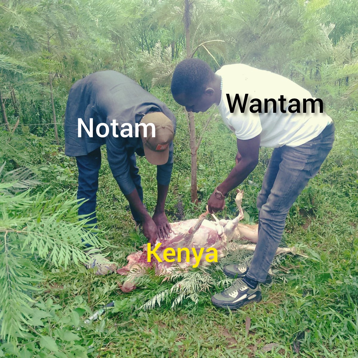 Raila na Ruto😅