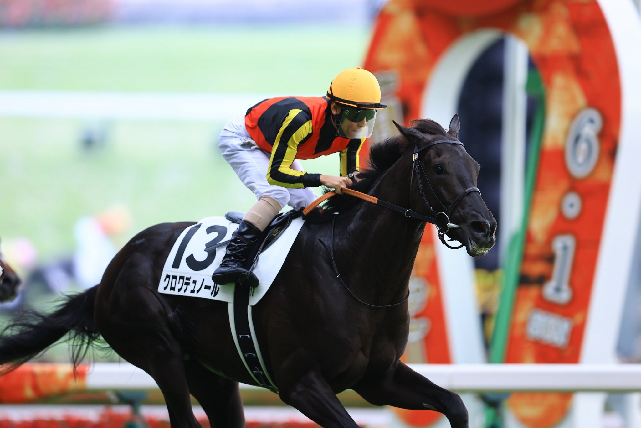 クロワデュノール パーカー 黒XL競馬 HORSE GOODS net】クロワデュノール・パーカー | HORSE GOODS