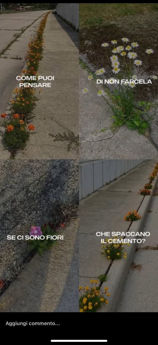 leggere ciò mi ha fatto sentire meglio