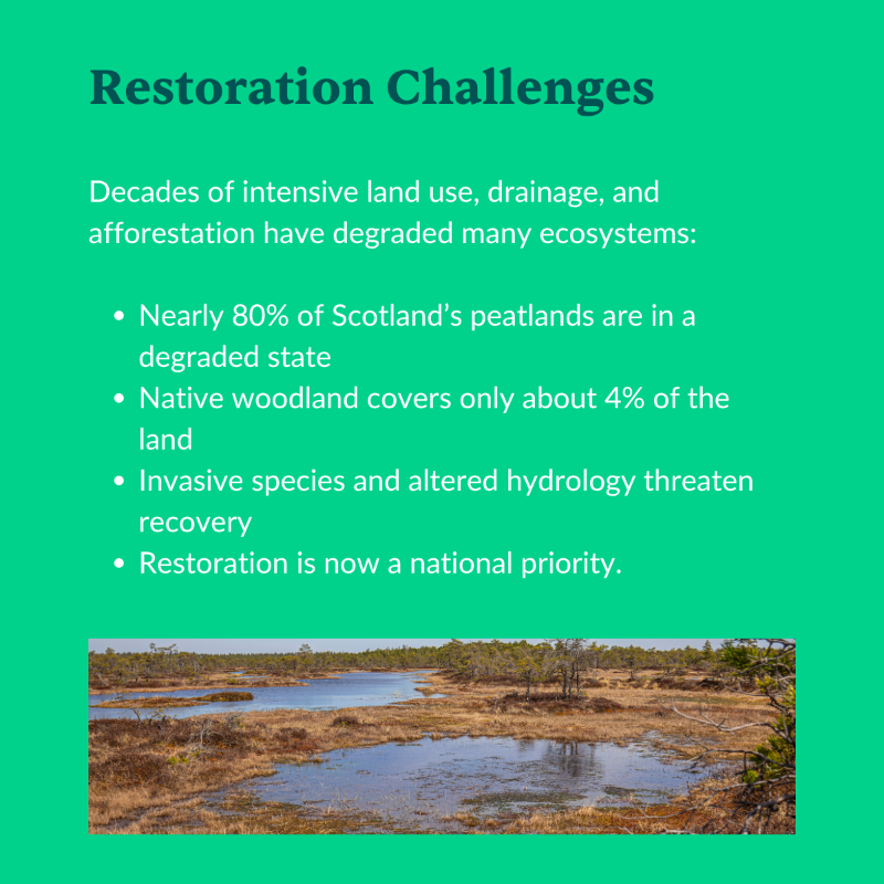 RestoreidEU's tweet photo. ๐ #RESTOREIDAroundTheWorld kicks off in #Scotland!
Explore the facts in our new carousel, discover RESTOREID's work in Scotland, and follow the hashtag as we travel to a new country each month!
#WelcomeToScotland #RESTOREID @UofGlasgow @StirUni