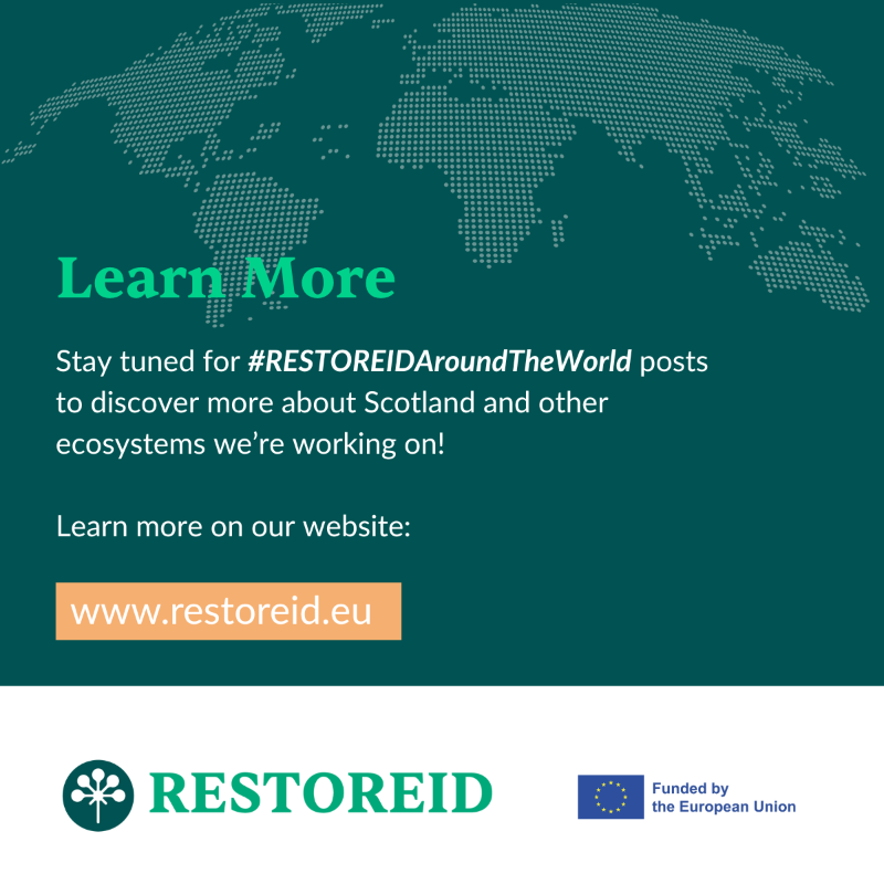 RestoreidEU's tweet photo. ๐ #RESTOREIDAroundTheWorld kicks off in #Scotland!
Explore the facts in our new carousel, discover RESTOREID's work in Scotland, and follow the hashtag as we travel to a new country each month!
#WelcomeToScotland #RESTOREID @UofGlasgow @StirUni