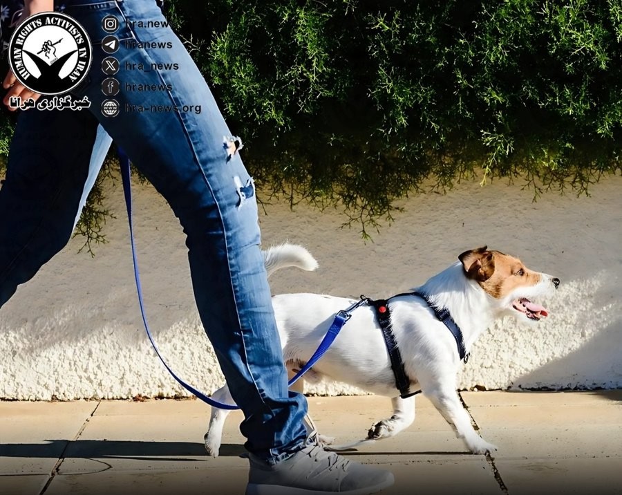 Prosecutors in Isfahan and Urmia have announced the enforcement of a ban on #dogwalking in parks, public spaces, and inside vehicles. The policy has drawn criticism as a clear example of judicial overreach into personal privacy and the imposition of a restrictive lifestyle.
#Iran