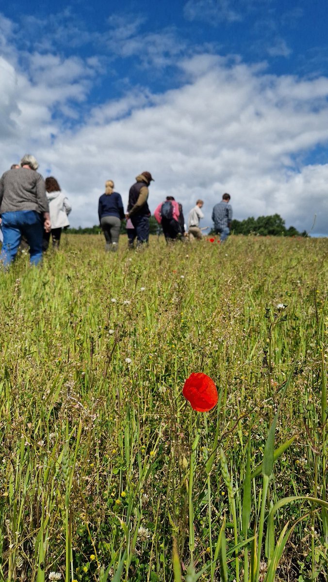 Agricology (@agricology) on Twitter photo Out in the field with the Frasers to visit the living mulch trials and agroforestry strips. Great to see an example of #regenerative #organic farming in action! 🚜
<a href="/OrgResCent/">Organic Research Centre</a> <a href="/ConygreeFarm/">Jonty Brunyee</a> <a href="/OPER8_EU/">OPER8</a> Out in the field with the Frasers to visit the living mulch trials and agroforestry strips. Great to see an example of #regenerative #organic farming in action! 🚜
<a href="/OrgResCent/">Organic Research Centre</a> <a href="/ConygreeFarm/">Jonty Brunyee</a> <a href="/OPER8_EU/">OPER8</a>