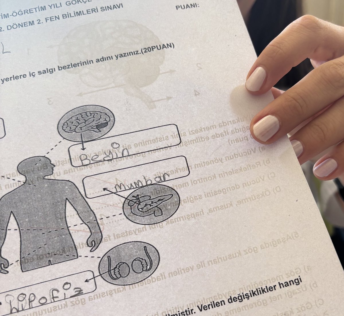 Mardin’de sıradan bir sınav kağıdı