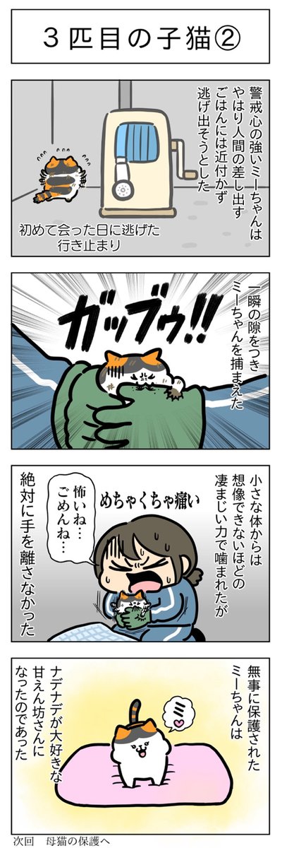 3匹目の子猫①②│フェリシモ猫部 https://t.co/6mQA8G9xAC 
