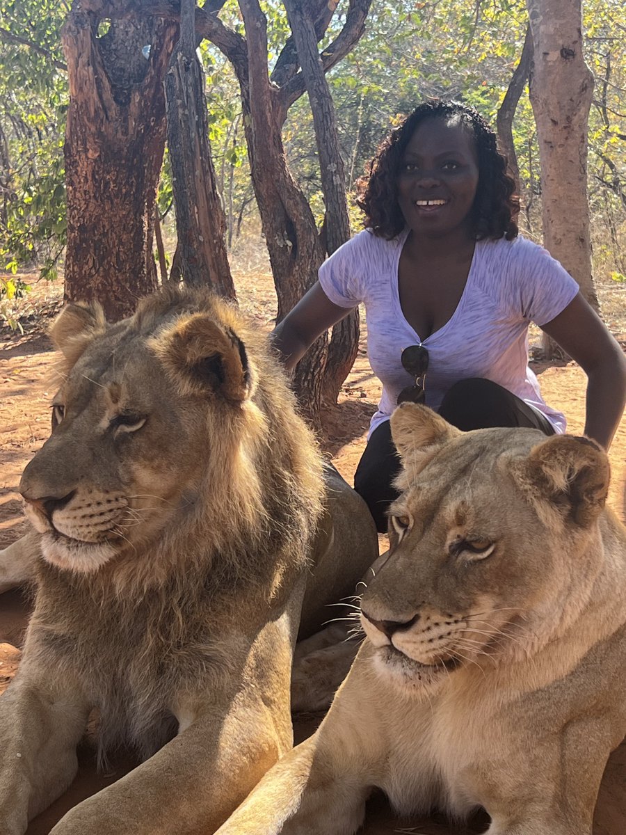 Rotaract Kampala North tweet media