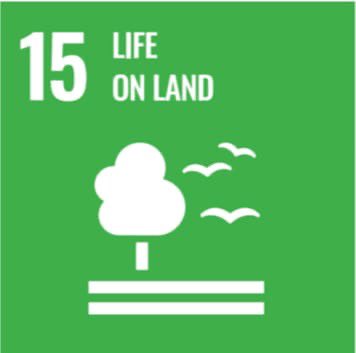 MdvmSchool's tweet photo. *Sustainable Development Goals,(SDG)* activities at  Mdvm  Parle School.

🌱 *Protecting Life on Land – SDG 15 in Action!* 🌿
At MDVM Parle School, we believe in nurturing responsible and eco-conscious citizens from an early age. https://t.co/llbiHHlfRj
