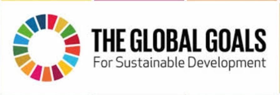 MdvmSchool's tweet photo. *Sustainable Development Goals,(SDG)* activities at  Mdvm  Parle School.

🌱 *Protecting Life on Land – SDG 15 in Action!* 🌿
At MDVM Parle School, we believe in nurturing responsible and eco-conscious citizens from an early age. https://t.co/llbiHHlfRj