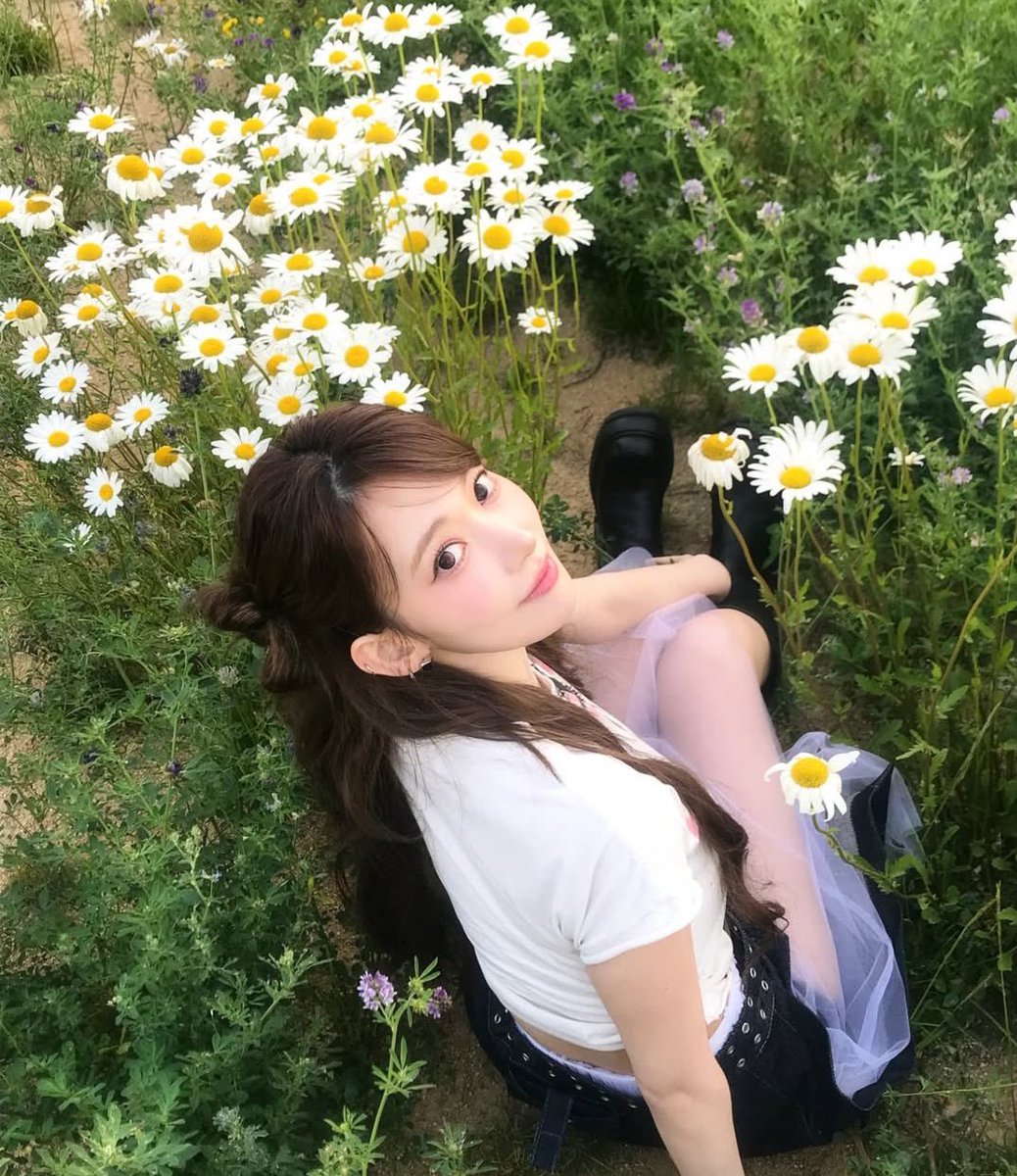 formiyawaki's tweet photo. 🌼 https://t.co/Thlt2MsOeg