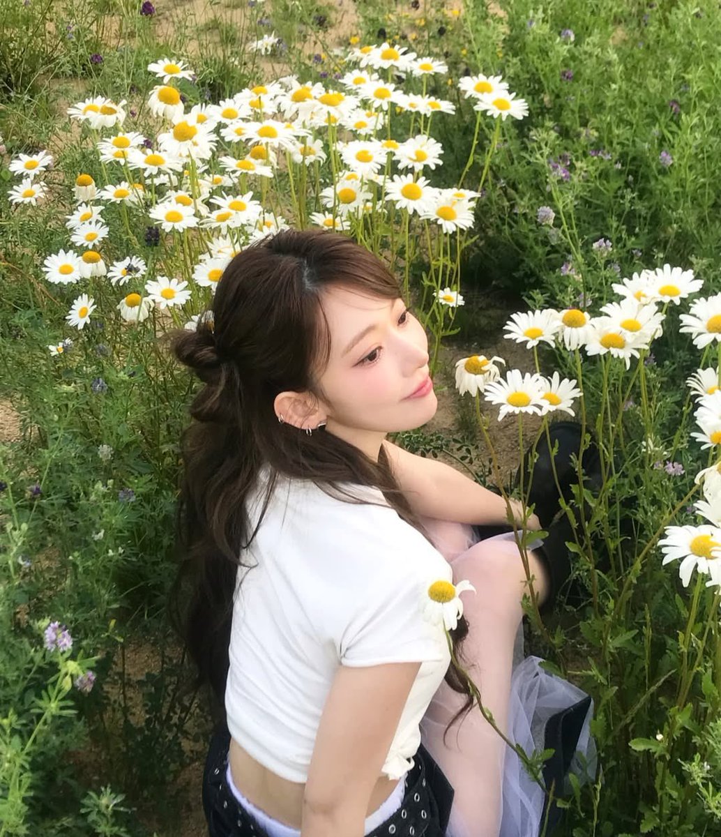 formiyawaki's tweet photo. 🌼 https://t.co/Thlt2MsOeg